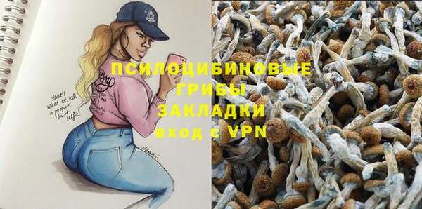 герыч Козельск