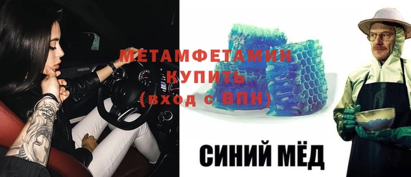 прущие грибы Костерёво