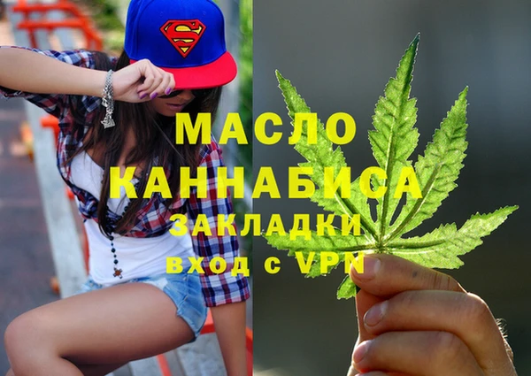сатива Коряжма