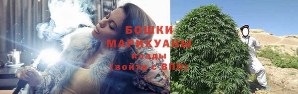 сатива Коряжма