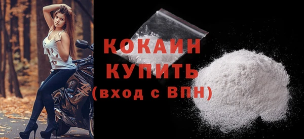 сатива Коряжма