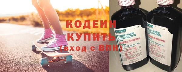 прущие грибы Костерёво