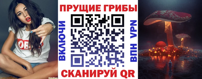 Галлюциногенные грибы Psilocybine cubensis нарко площадка официальный сайт Солнечногорск OMG маркетплейс